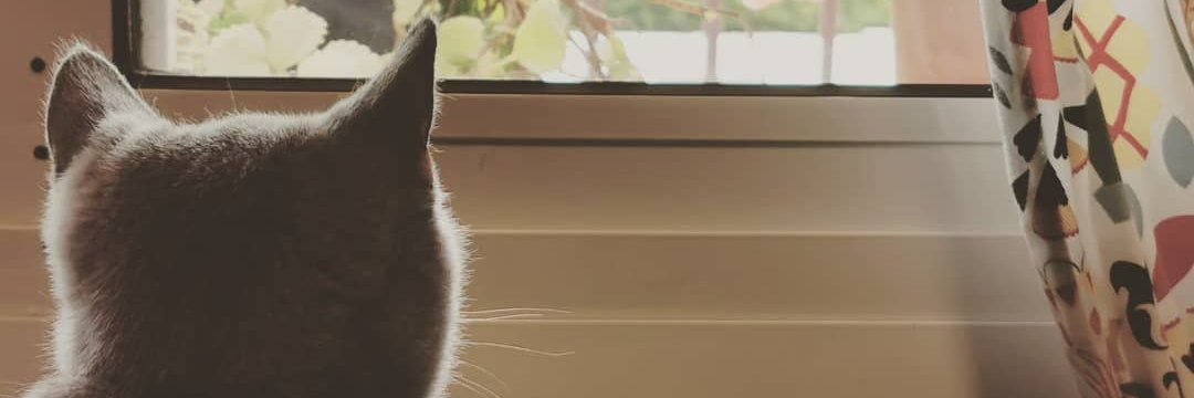 kaarlalb's profile banner image
