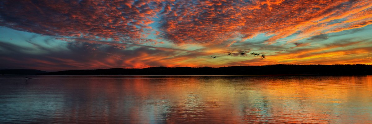 Sarah Kearney banner