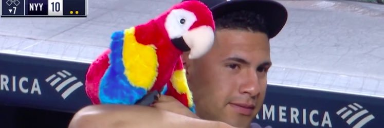 Alex Schettino banner