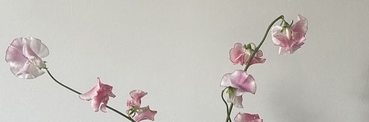 limerence97's profile banner image