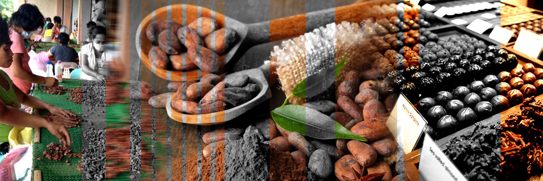 MoulinetChoc's profile banner image