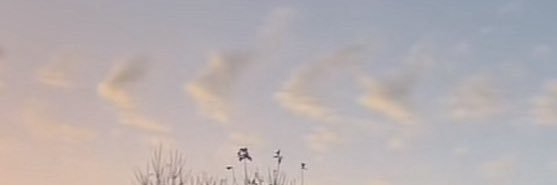 eims🌙 banner