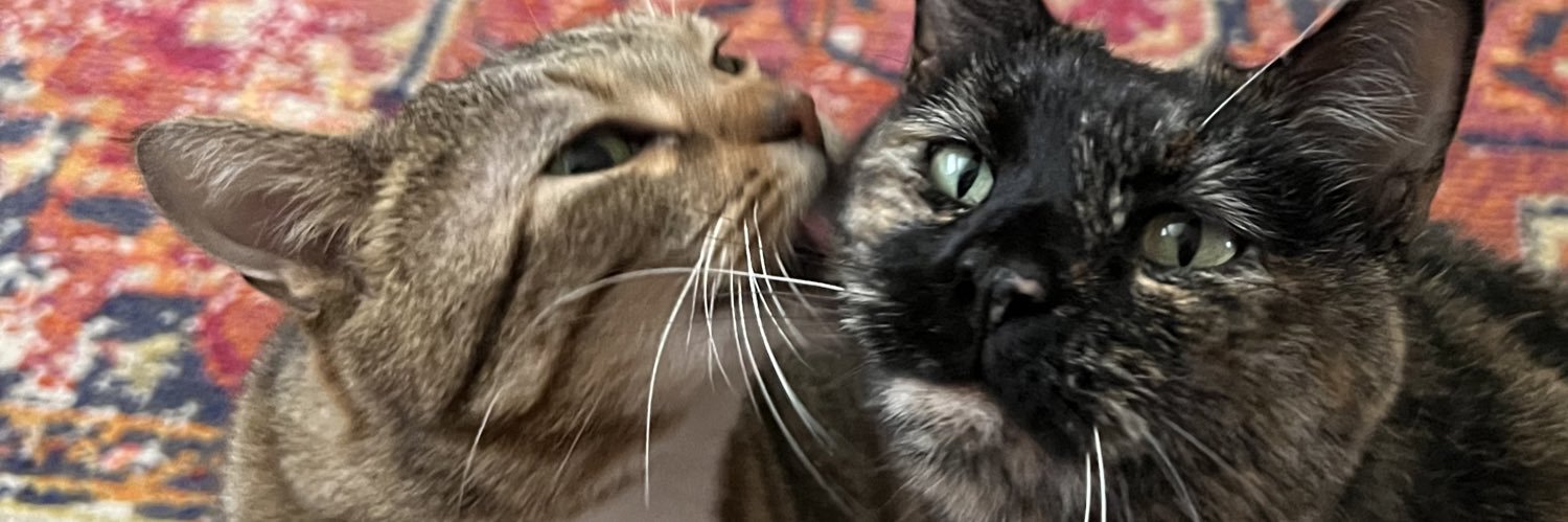 audreyfount's profile banner image