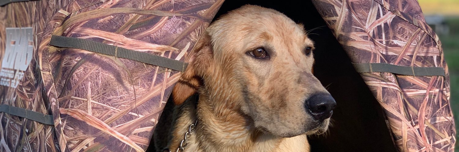 jedgar_54's profile banner image