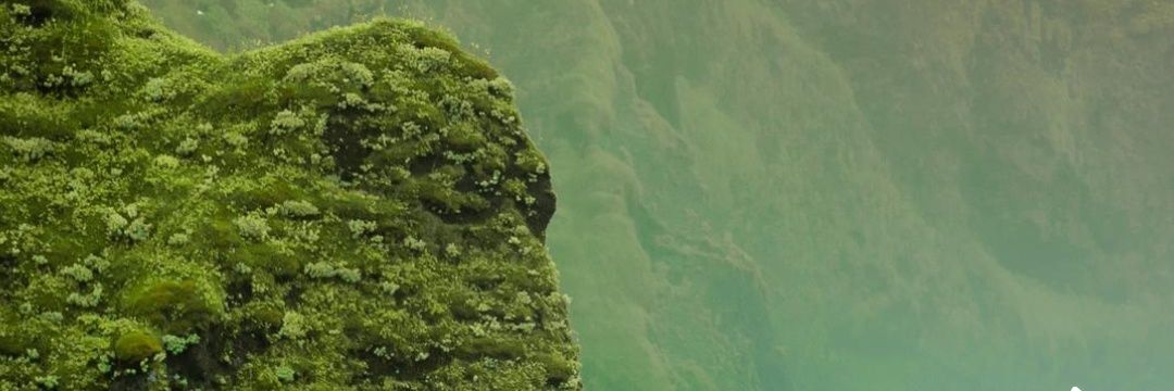 21123456's profile banner image