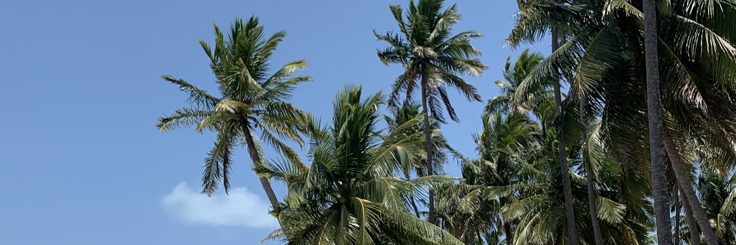 DaniJBernav's profile banner image
