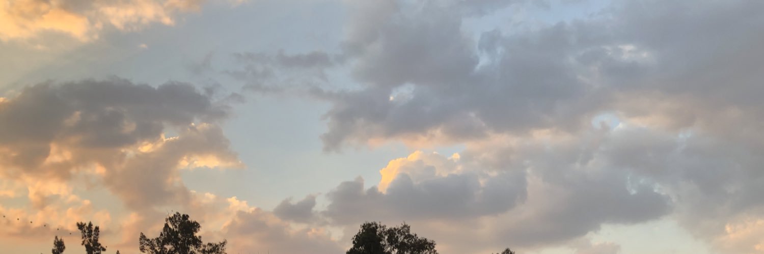 Otra_Yuts's profile banner image