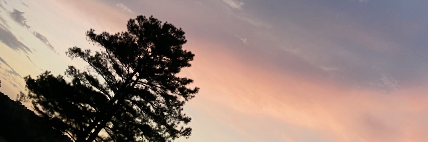 _laursteele's profile banner image