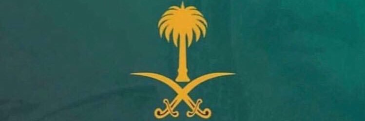 apnznaaf's profile banner image