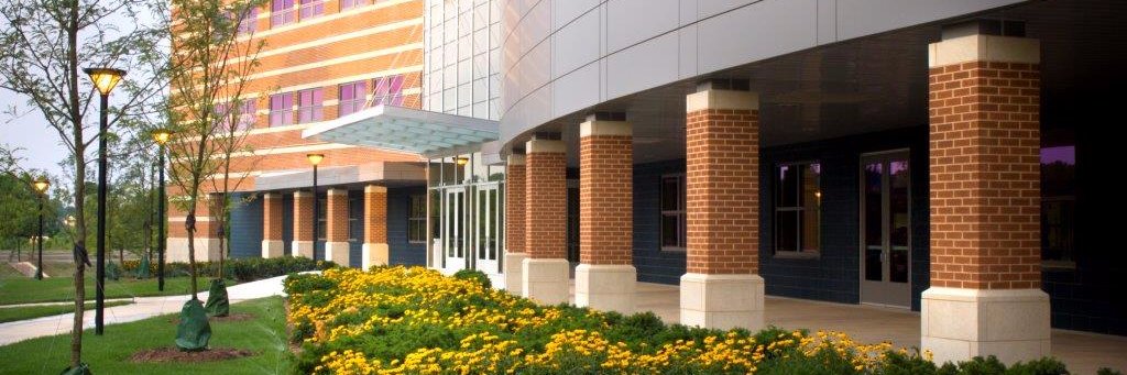 sgPublicHealth's profile banner image