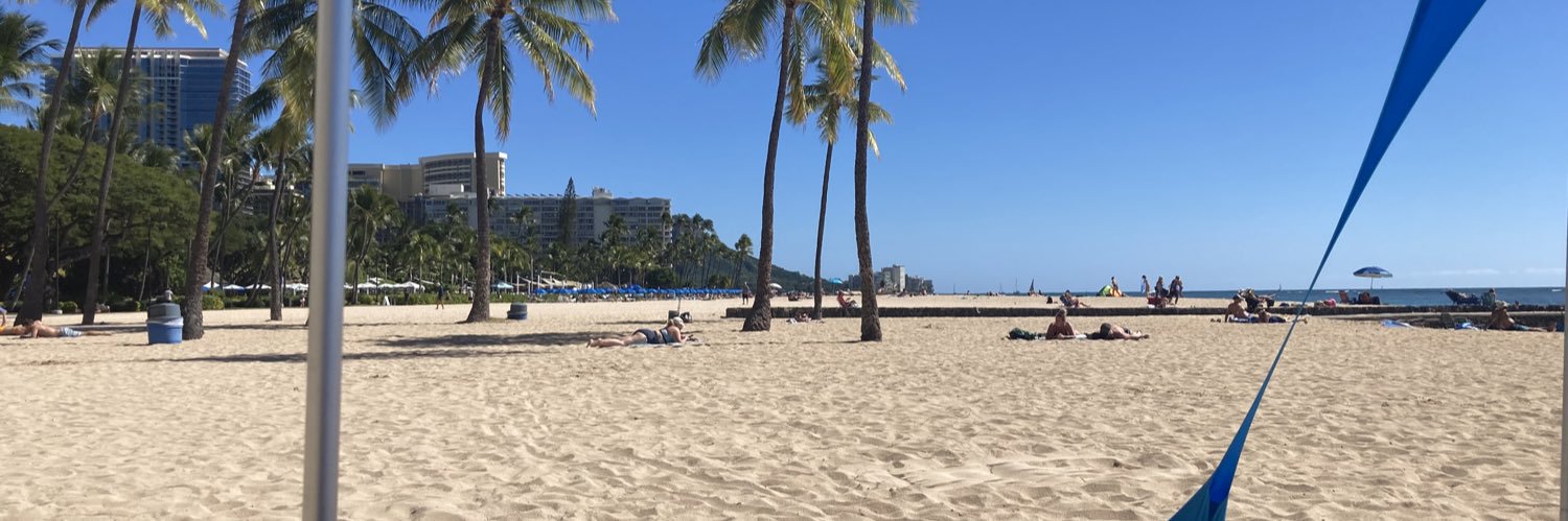 The Texas Flagship banner