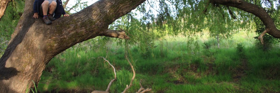 Robert Hamilton banner