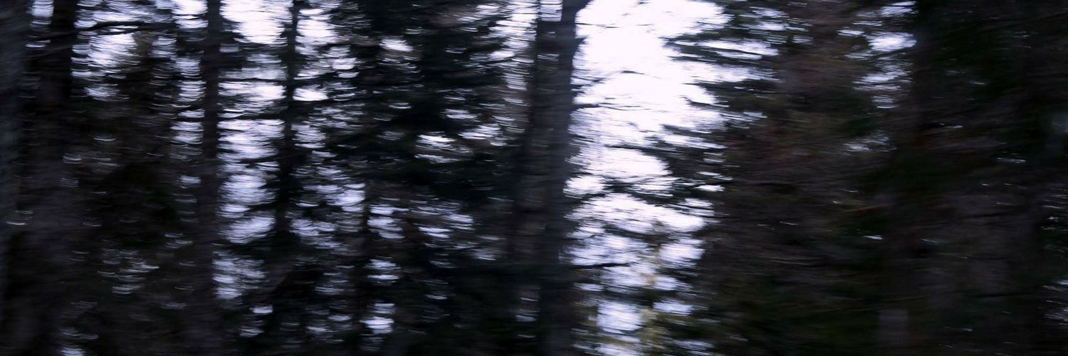 ellarrive's profile banner image