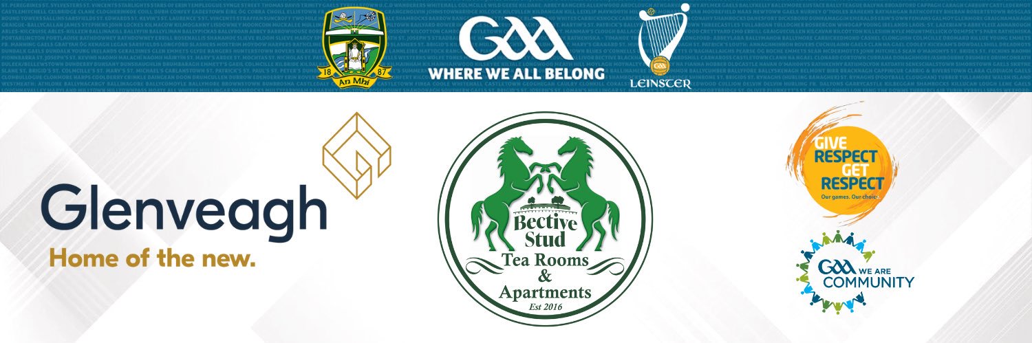 Meath GAA's banner