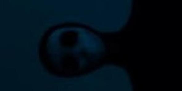 angelb99's profile banner image