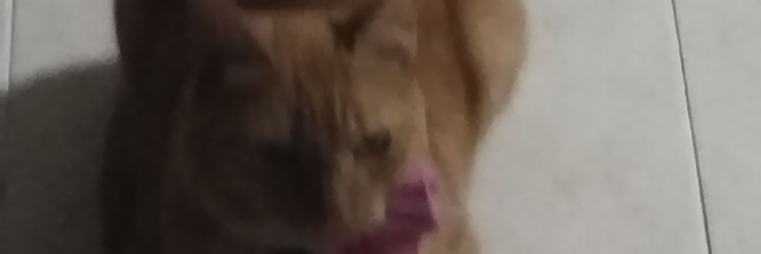 jberna1's profile banner image