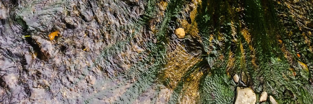 klementinx's profile banner image