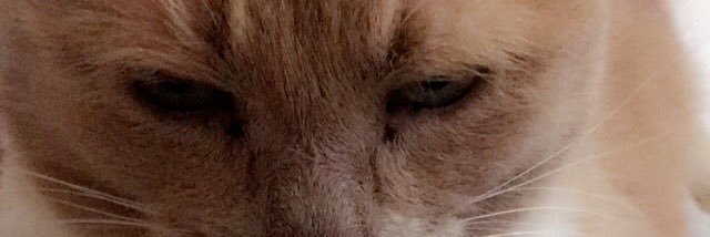 JohnJwelsh's profile banner image