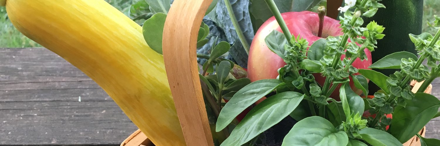 Black Yield Institute banner