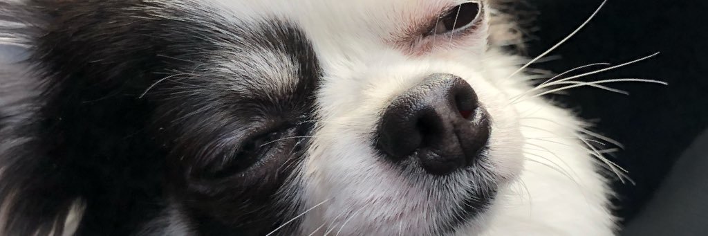 ketamasa's profile banner image