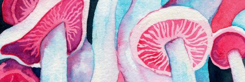Zuzuvela3's profile banner image