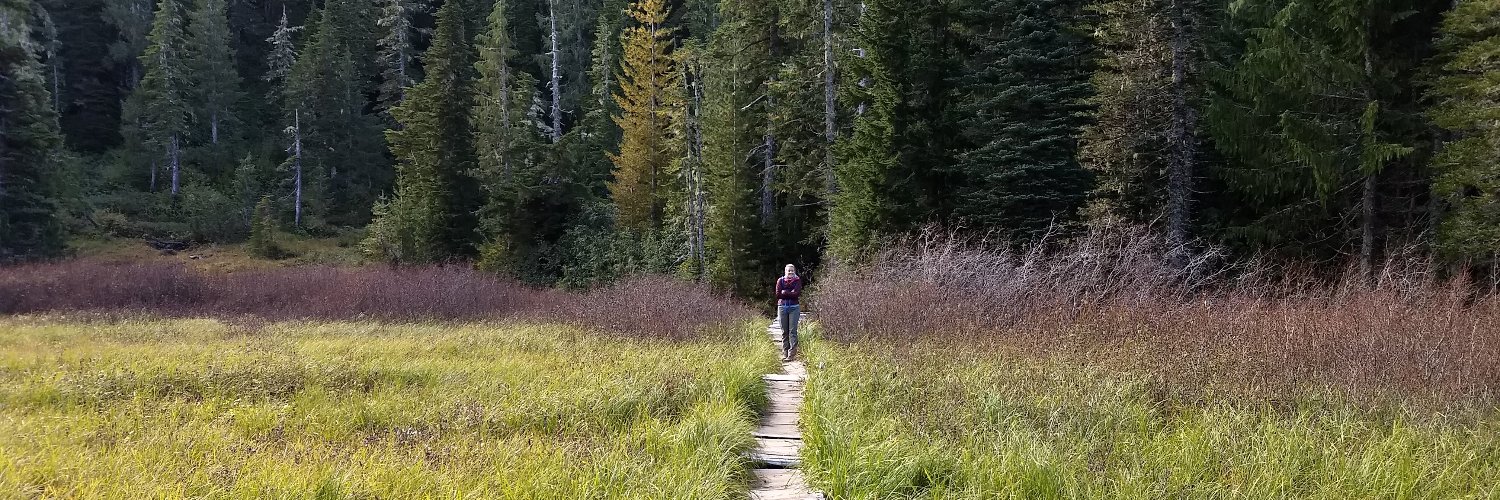 Lindsay McAlpine MD banner