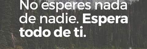 Mundo_delibros's profile banner image