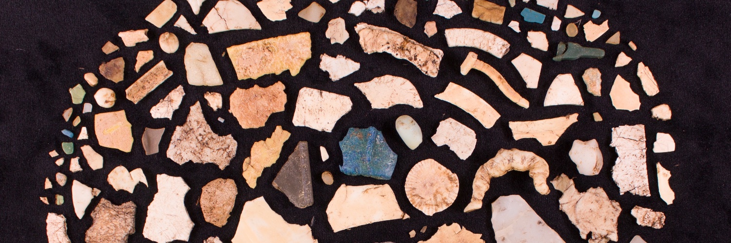 Dr Joby Hollis 🏳️‍🌈🇪🇺 banner