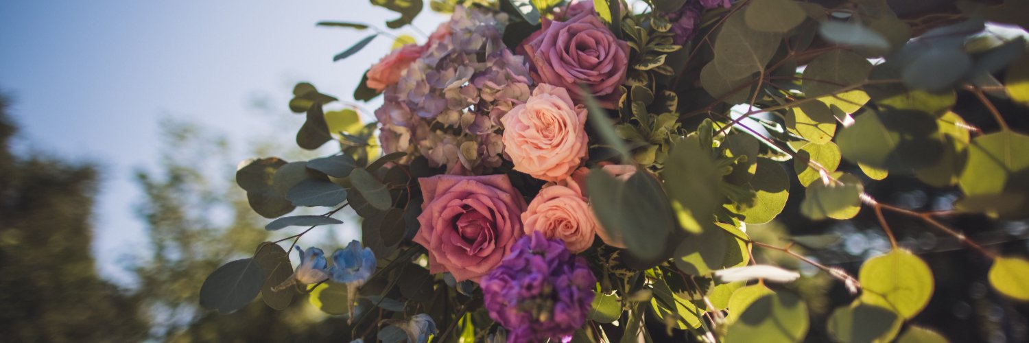 Ambria Florence banner