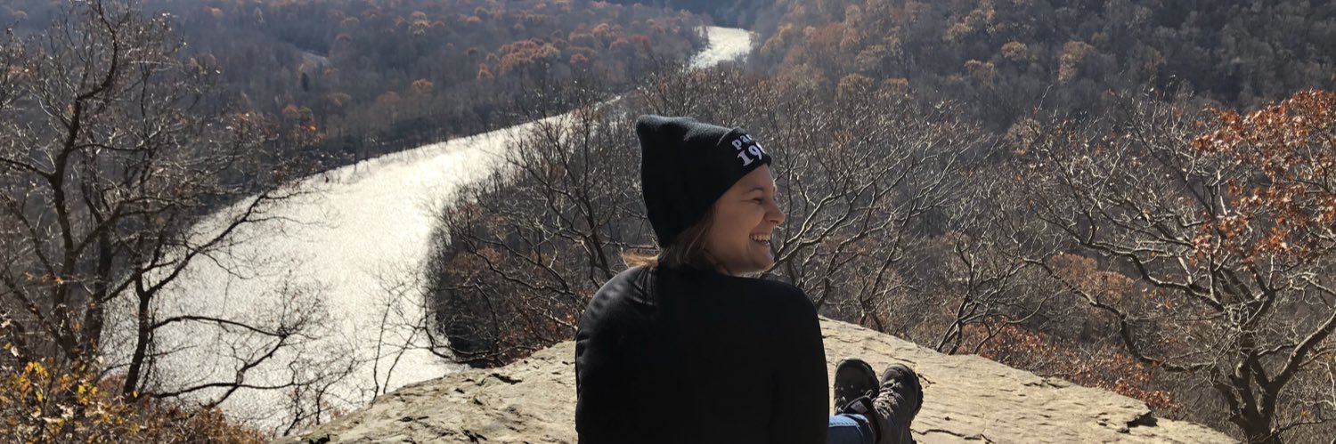 cheyfilous's profile banner image