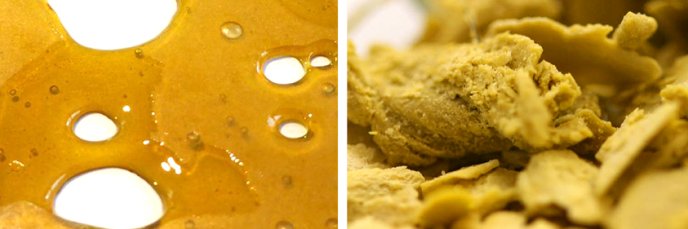 DELTANINE_THC's profile banner image