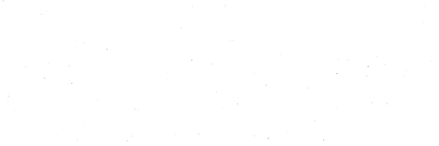 Nour banner
