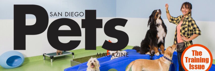 ZoesDogTraining's profile banner image