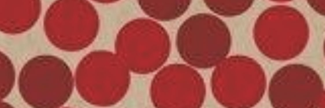 Jane Grote Abell banner