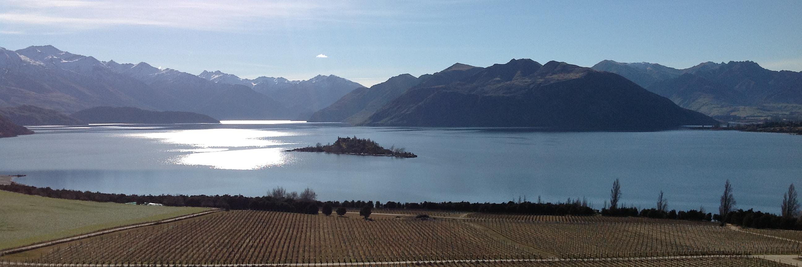 Wine Sentience banner