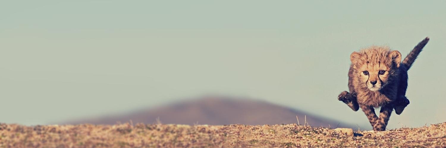 AdamWarrenJones's profile banner image