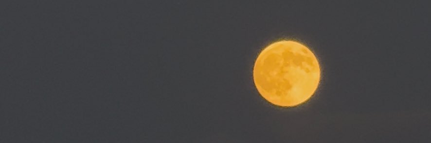 soniabarbaa's profile banner image