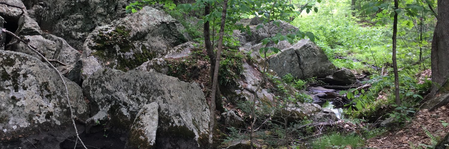 cxkib's profile banner image