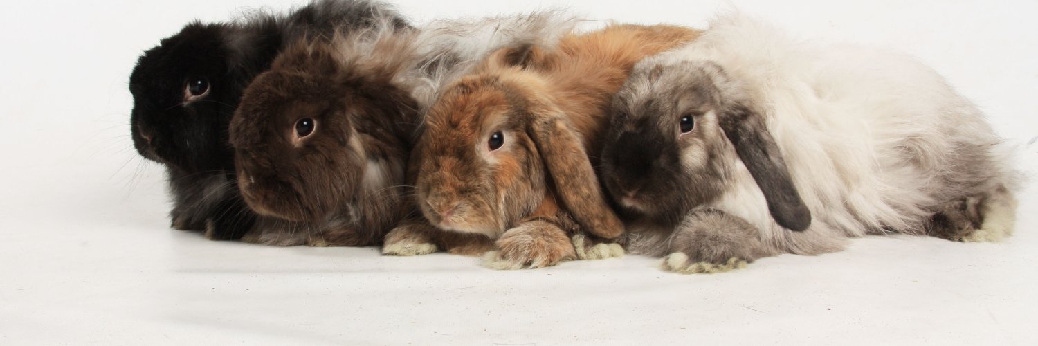 Natalie Reeves banner