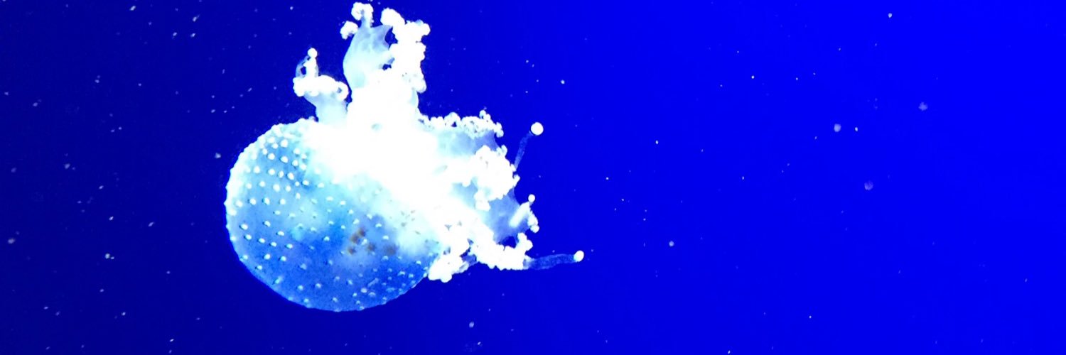 Epmb31's profile banner image