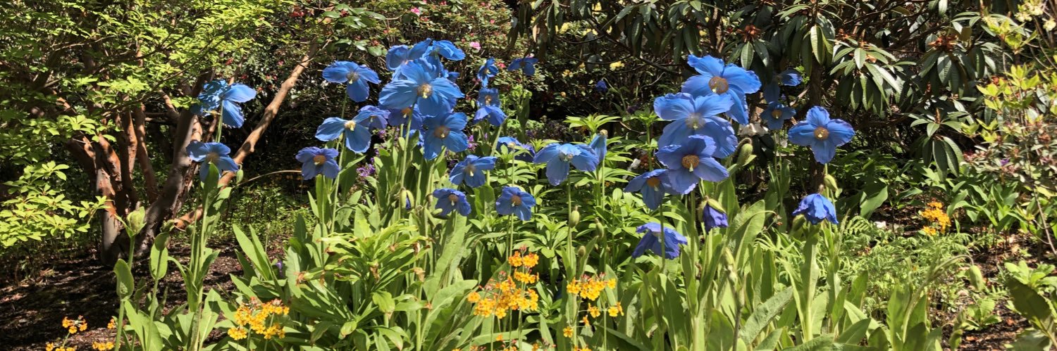 Major D Malpas banner