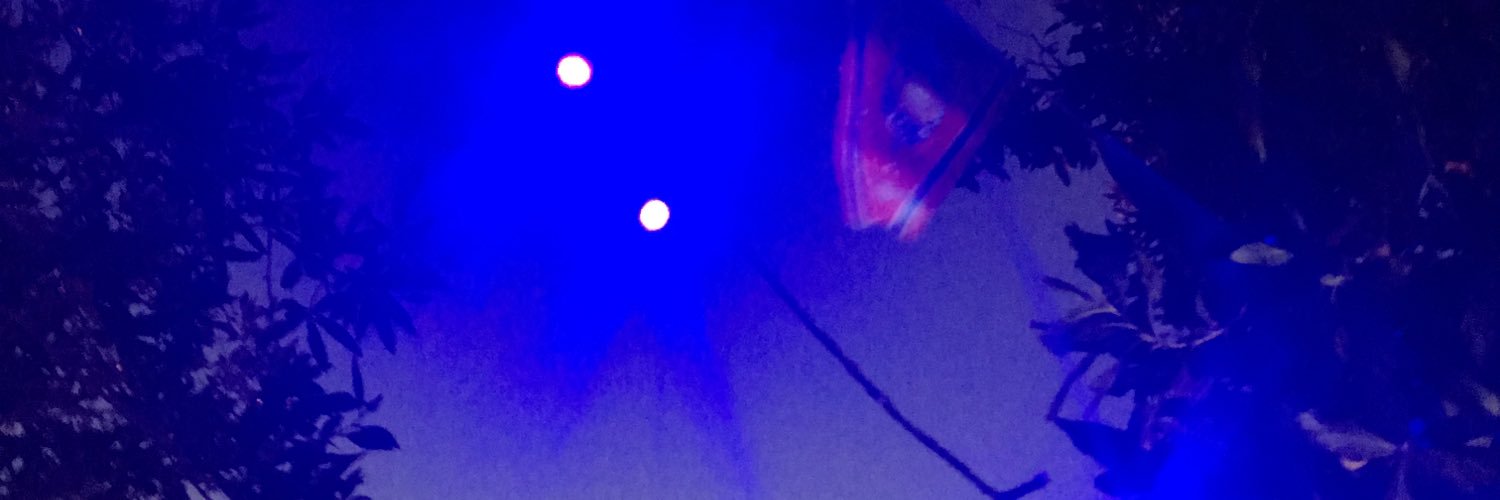 orkidae's profile banner image