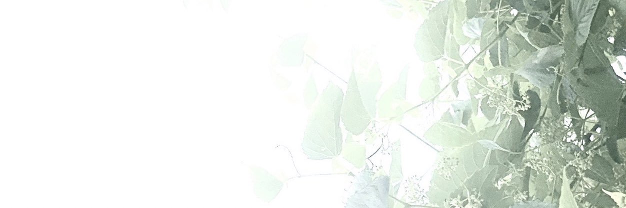 J_Whateva's profile banner image