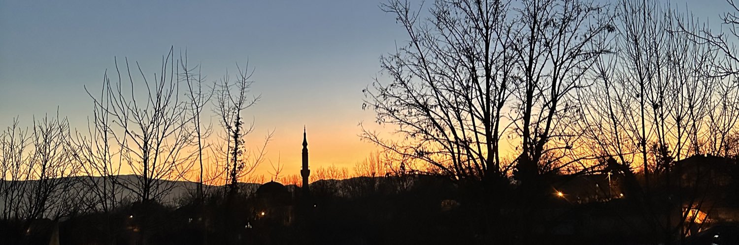 ergundemir_'s profile banner image