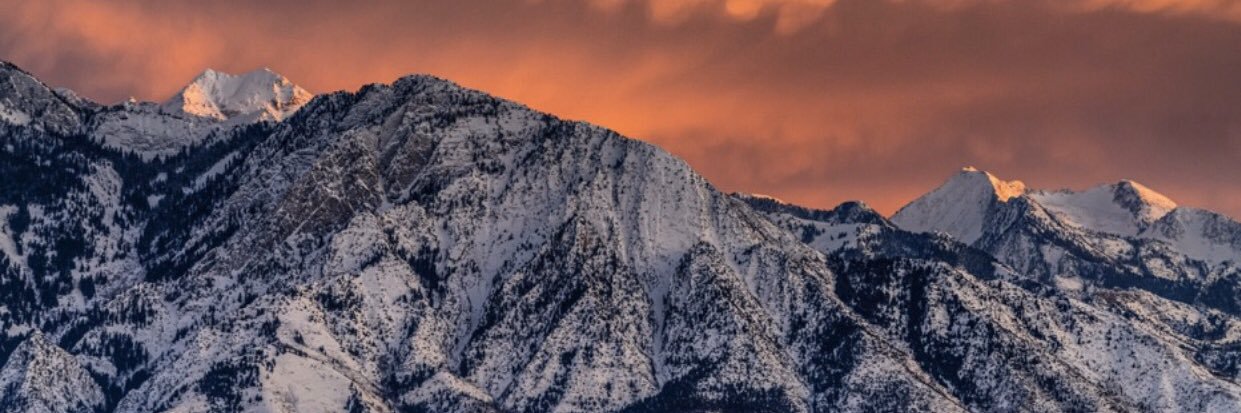 bronsonian20's profile banner image
