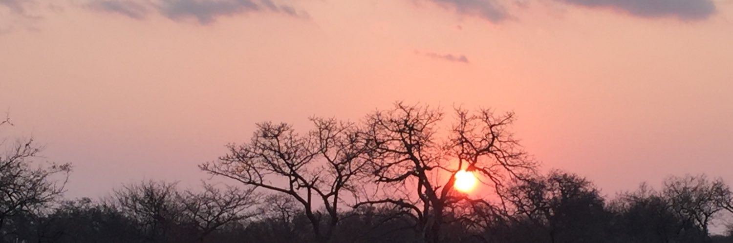 dmblick's profile banner image
