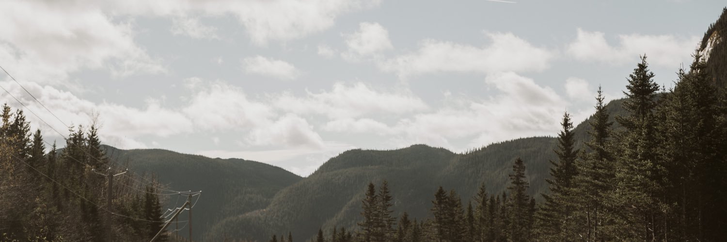 lauraammarsh's profile banner image