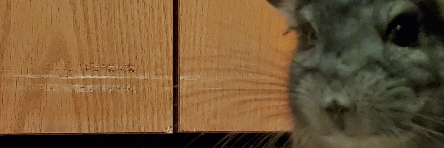 Ball0fuzz's profile banner image
