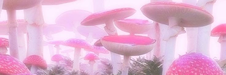 GotPeachess's profile banner image
