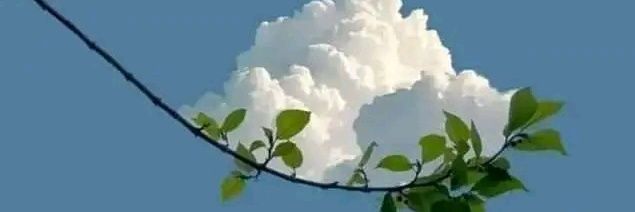 upretinaresh2's profile banner image